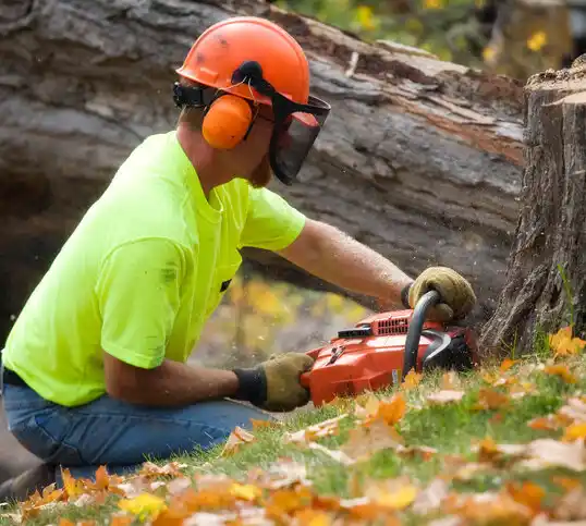 tree services Juniata